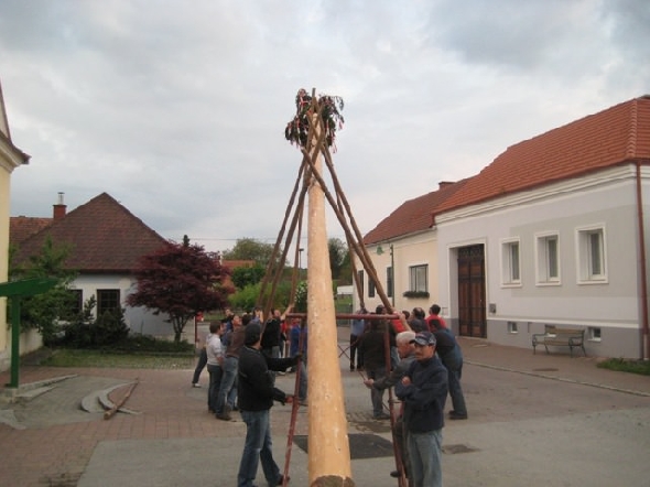 http://www.jormannsdorf.at/ff/bildergalerie/cache/vs_2011_04_30%20%20Maibaum_IMG_5580.jpg