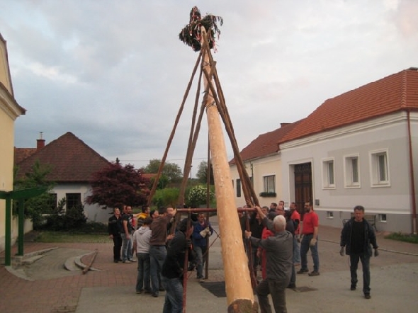 http://www.jormannsdorf.at/ff/bildergalerie/cache/vs_2011_04_30%20%20Maibaum_IMG_5581.jpg