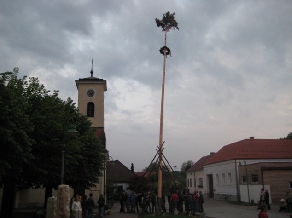 http://www.jormannsdorf.at/ff/bildergalerie/cache/vs_2011_04_30%20%20Maibaum_IMG_5588.jpg
