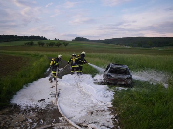 http://www.jormannsdorf.at/ff/bildergalerie/cache/vs_2011_05_21%20Inspizierung_IMGP0125.JPG