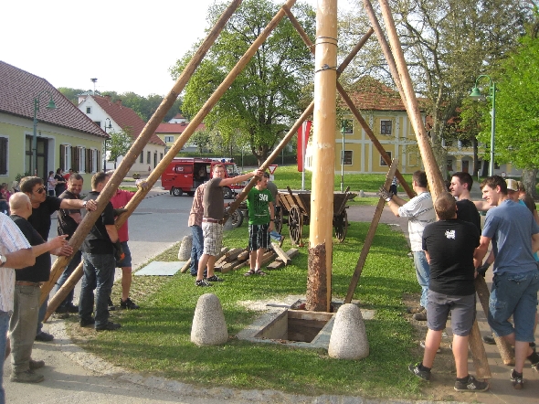 http://www.jormannsdorf.at/ff/bildergalerie/cache/vs_2013_05_01%20Maibaum_IMG_8458.jpg