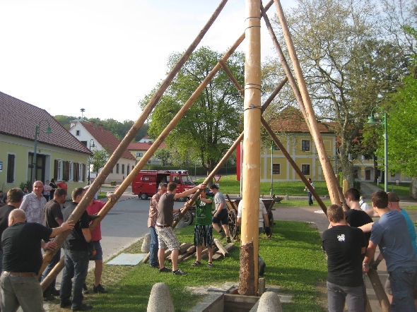 http://www.jormannsdorf.at/ff/bildergalerie/cache/vs_2013_05_01%20Maibaum_IMG_8459.jpg