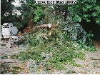 Galerie 2002 Sturmschaden anzeigen.