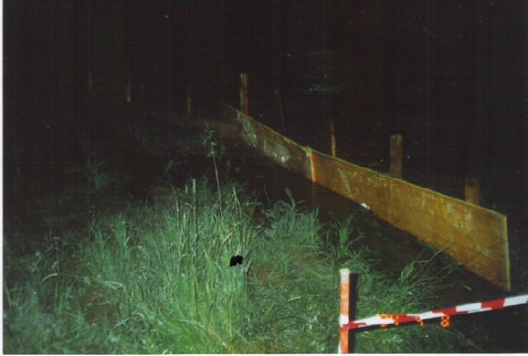 http://www.jormannsdorf.at/ff/einsaetze/cache/vs_2004%20Unwetter_einsaetze024.jpg