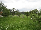 Galerie Urlaub 2009 034.jpg anzeigen.